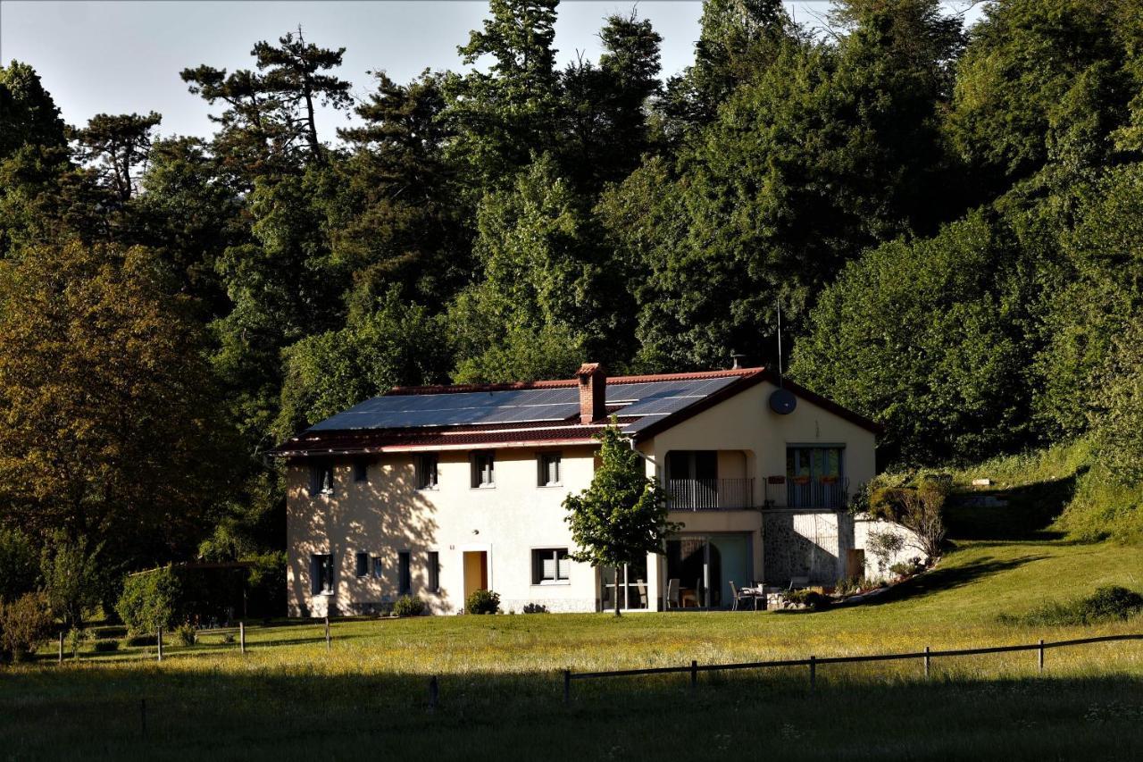 Guesthouse Idila Pod Nanosom Senozece Luaran gambar