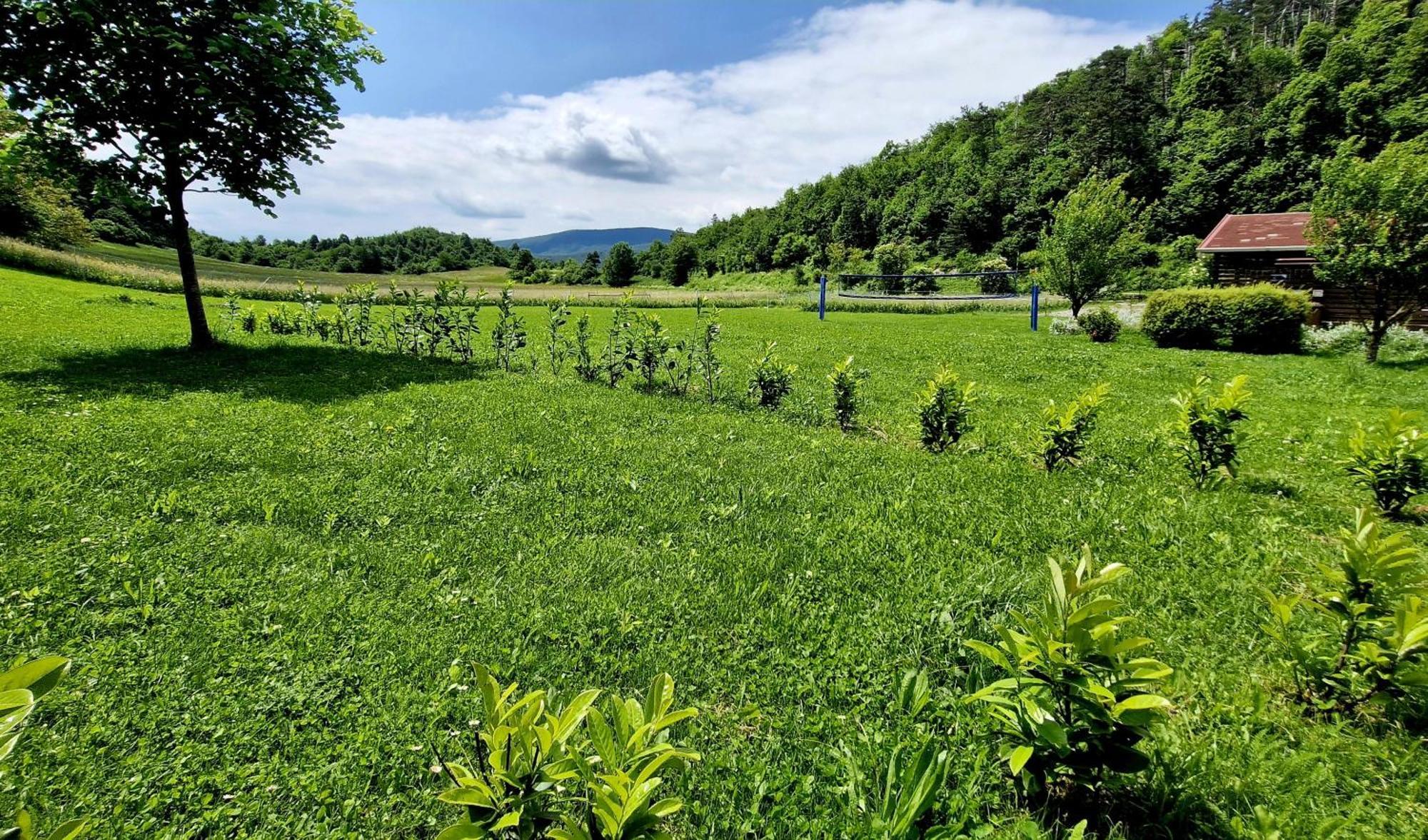 Guesthouse Idila Pod Nanosom Senozece Luaran gambar